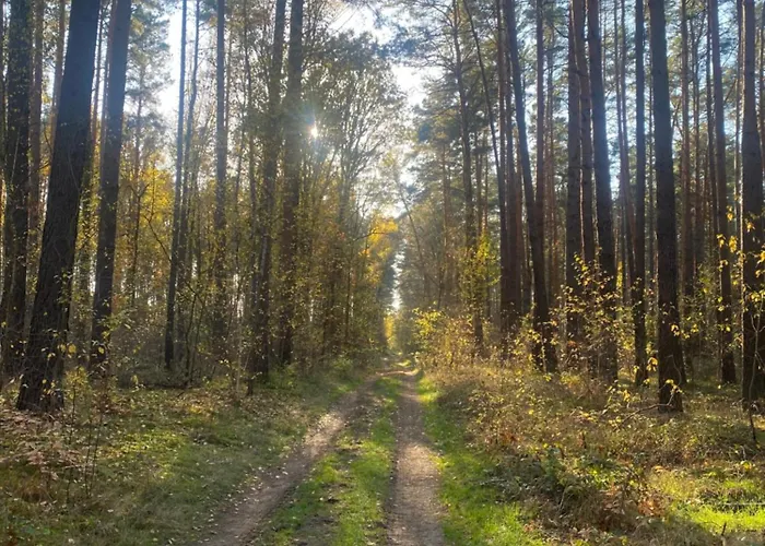 Villa Artvilla Am Koenigs Wusterhausen